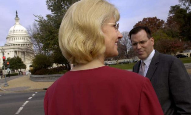 How effective was Councilwoman Sekula-Gibbs?